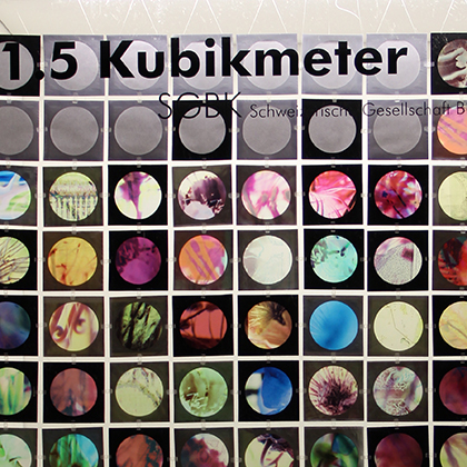 Kachel 2011 Eisblumen