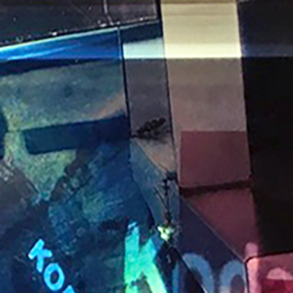 Kachel 2021 Ohne Worte