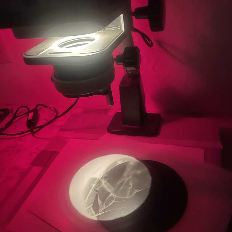 Kachel natur im Labor